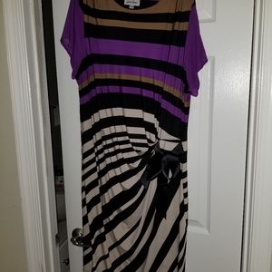 Plus Size Women's Dress